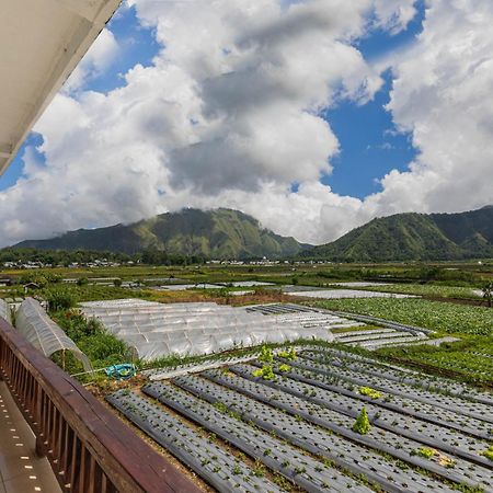 Teras Sawah Guest House Syariah Sembalunlawang Buitenkant foto