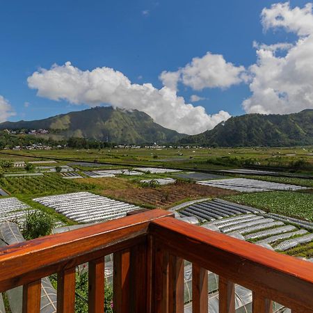 Teras Sawah Guest House Syariah Sembalunlawang Buitenkant foto