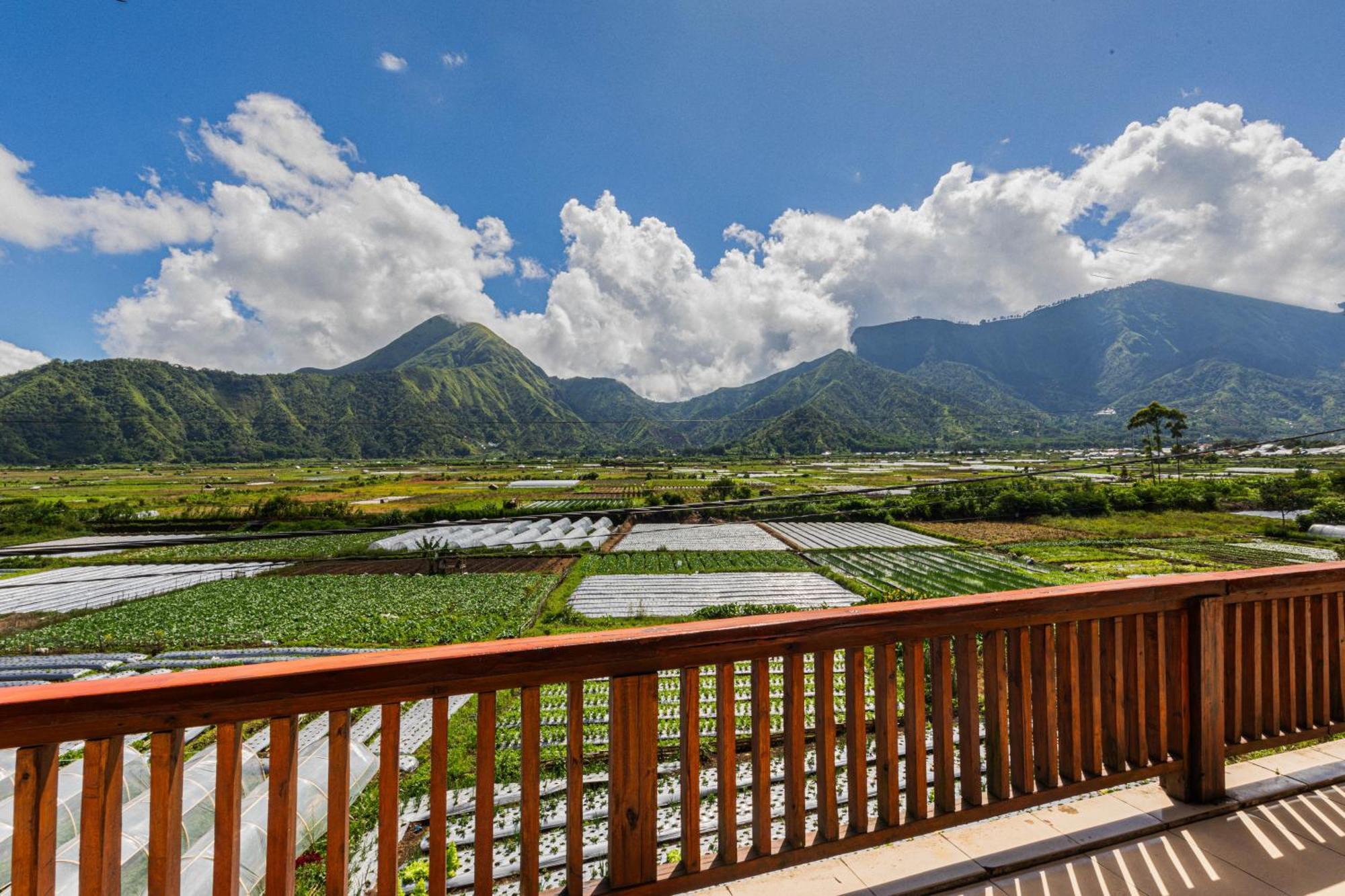 Teras Sawah Guest House Syariah Sembalunlawang Buitenkant foto