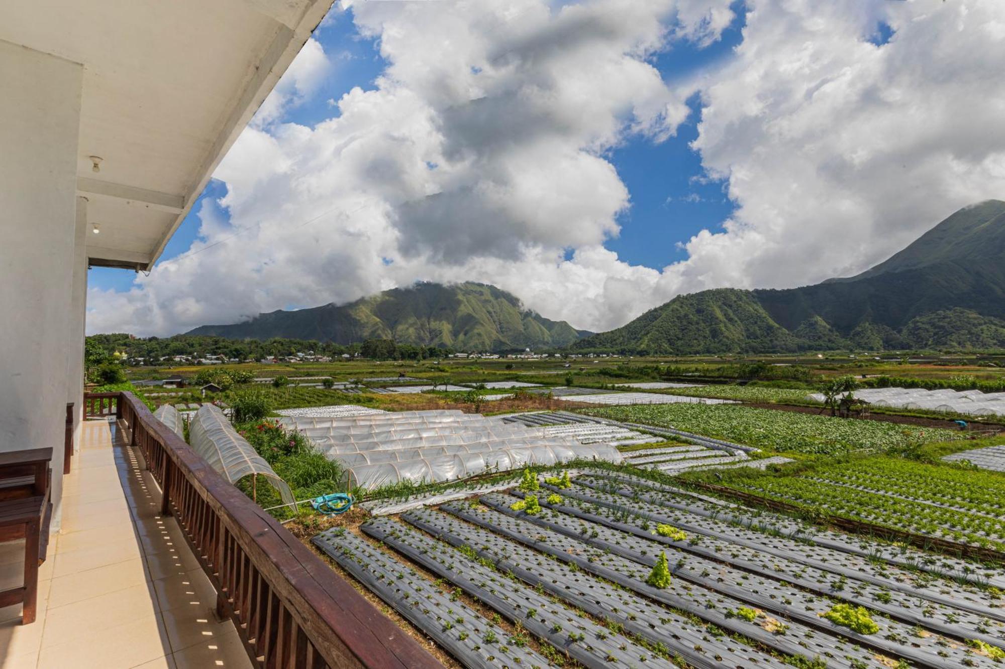 Teras Sawah Guest House Syariah Sembalunlawang Buitenkant foto