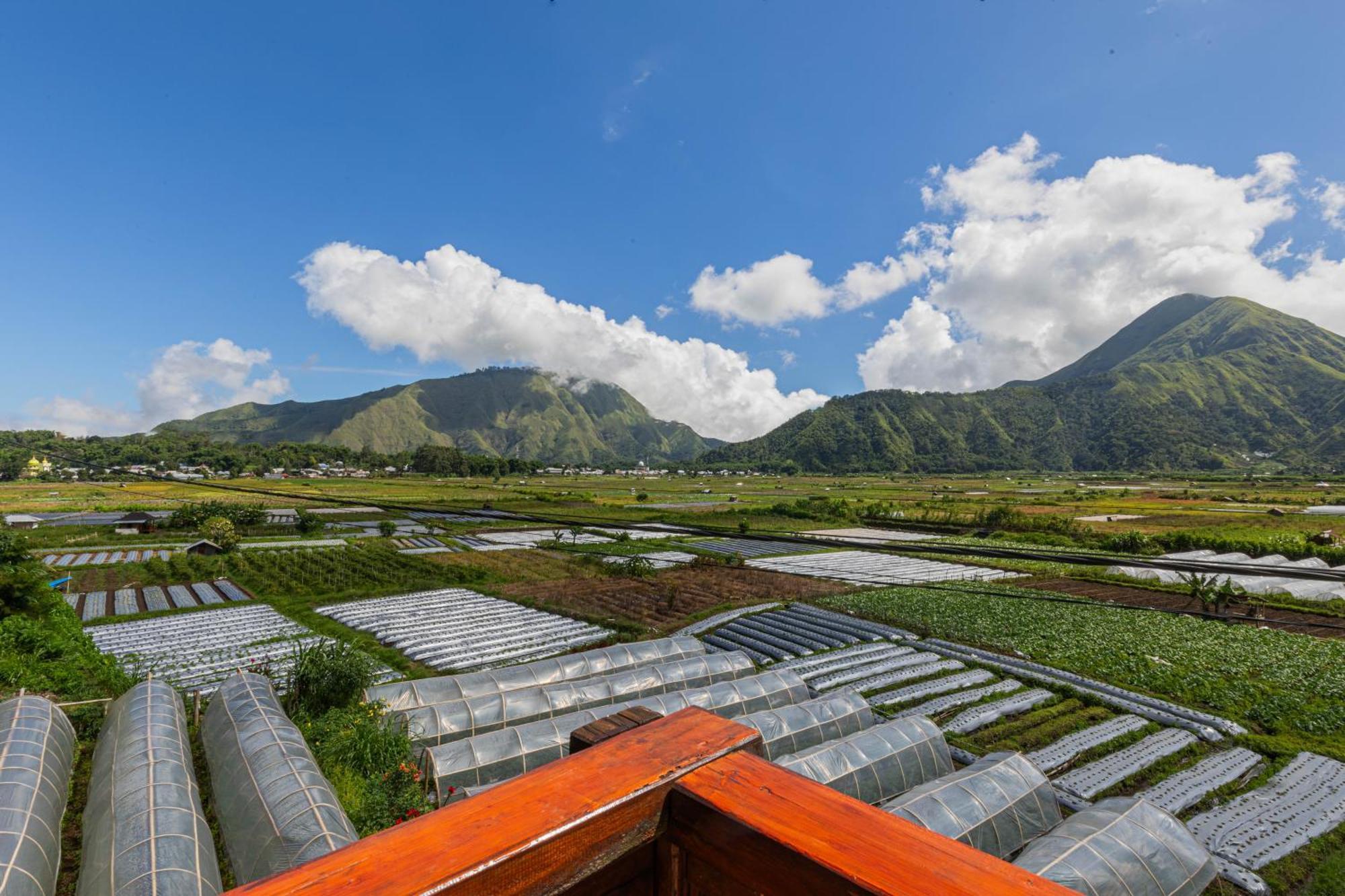 Teras Sawah Guest House Syariah Sembalunlawang Buitenkant foto
